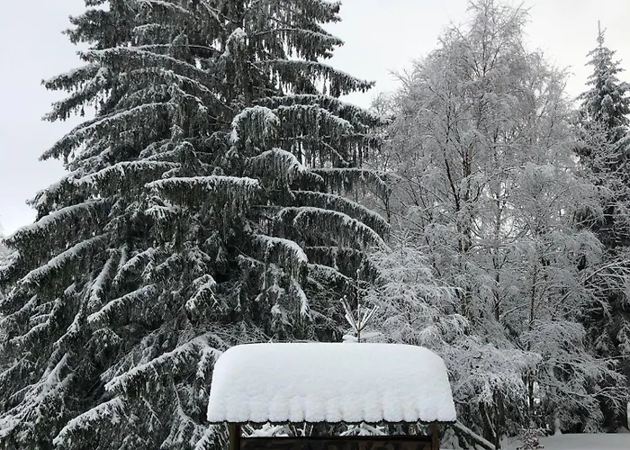 Monte Luna Dom wakacyjny